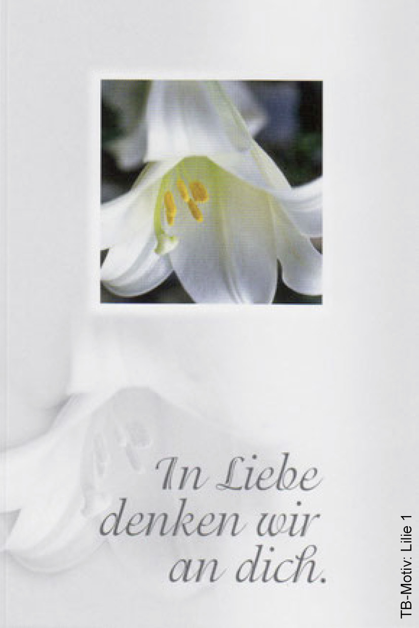 Lilie weiss Liebe
