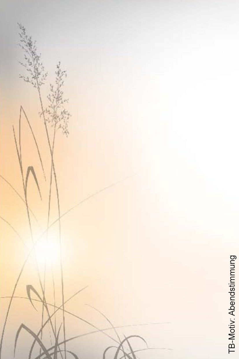 Abendstimmung Sonne Aehren